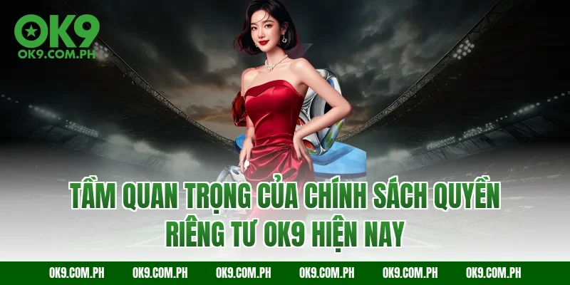 Tầm quan trọng của chính sách quyền riêng tư OK9 hiện nay