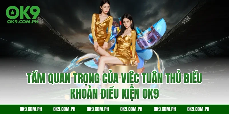 Tầm quan trọng của việc tuân thủ Điều khoản điều kiện OK9