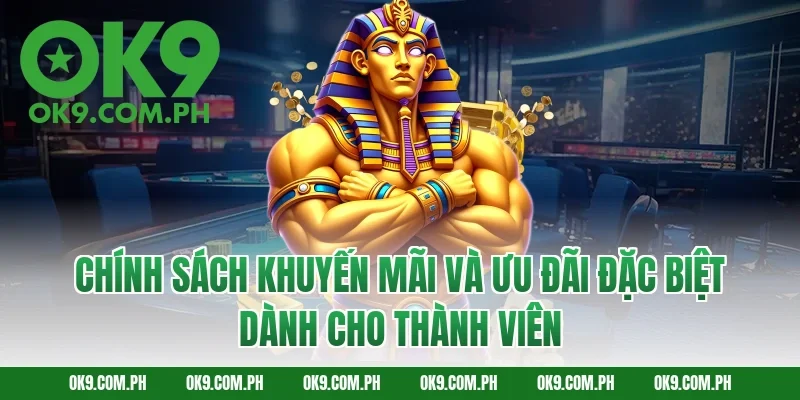 Chính Sách Khuyến Mãi Và Ưu Đãi Đặc Biệt Dành Cho Thành Viên